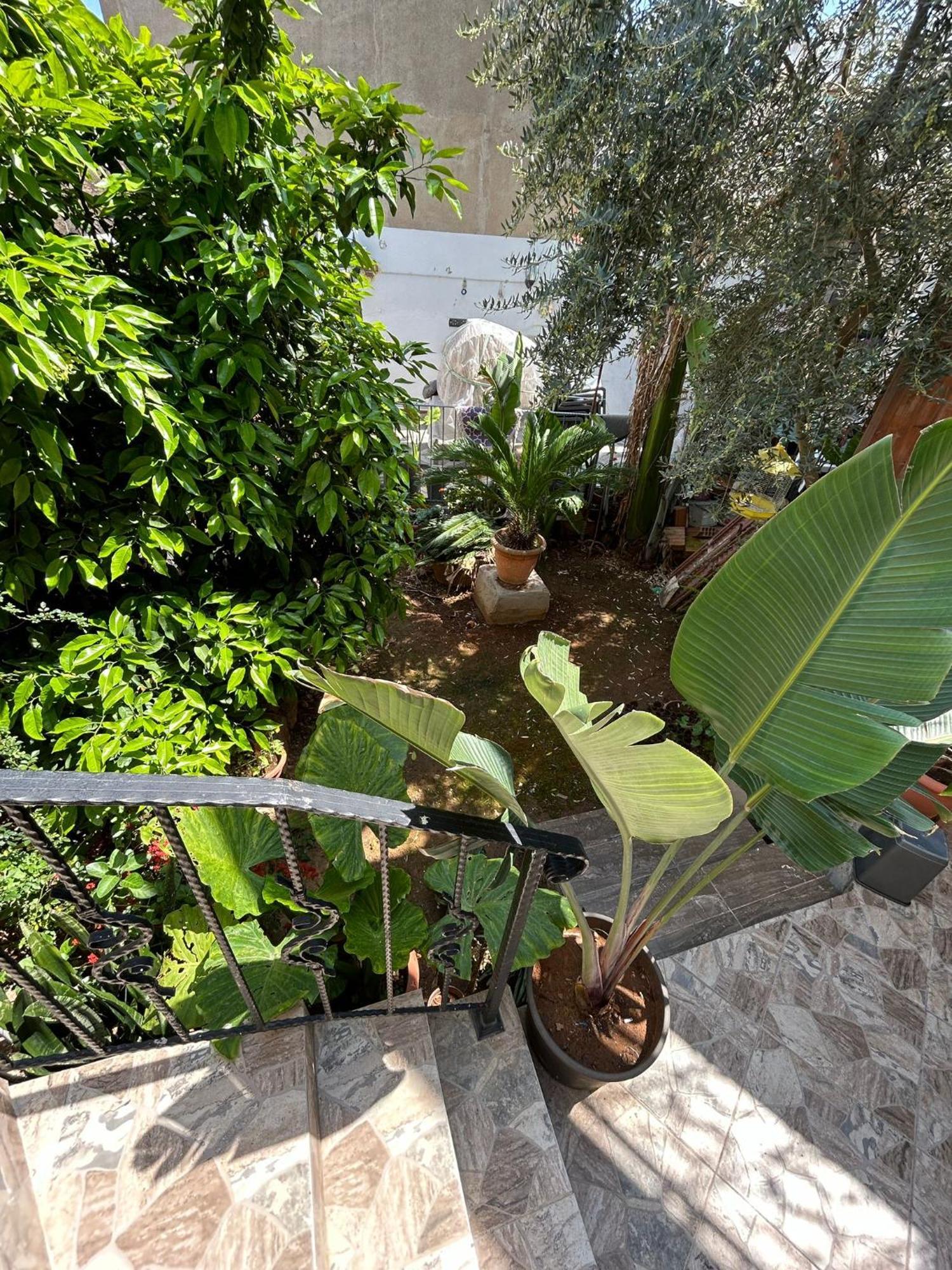 Arsione Guest House Famagusta  Esterno foto