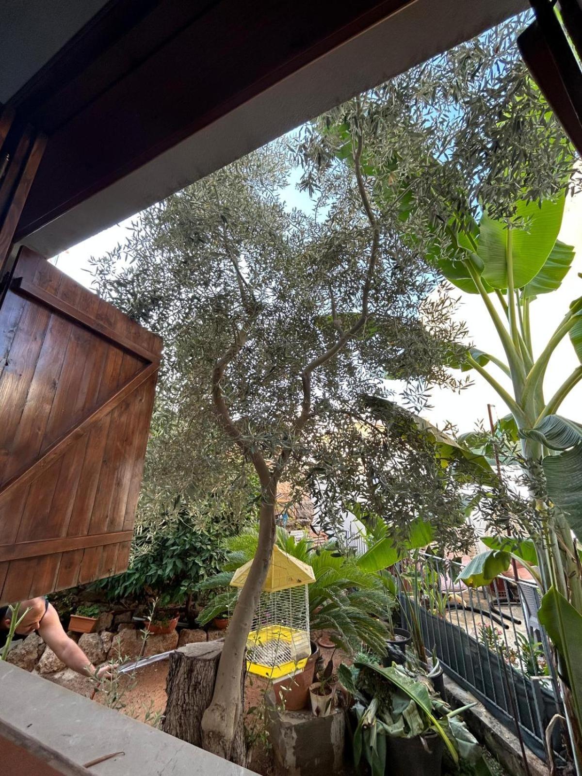Arsione Guest House Famagusta  Esterno foto
